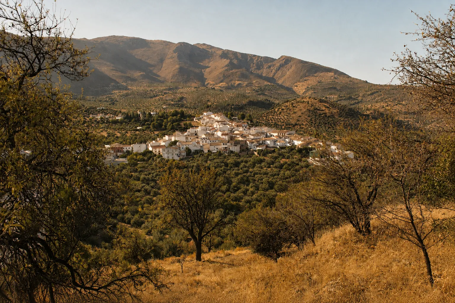 Pueblo de casas blancas entre olivares y montañas